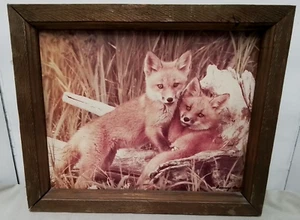 Danny On Framed Wildlife Photo Fox Cubs - Signed - Montana Glacier Park Artist - Picture 1 of 4