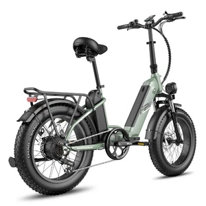 FAFREES FF20 POLAR Elektrofahrrad 500W 48V 24AH 150KM FatBike 20" Klapprad EBike - Bild 1 von 13