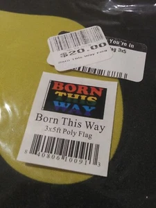 Born This Way Flag 3x5ft LGBTQIA LGBT Gay Pride Lady Gaga Rainbow Pride Flag - Picture 1 of 4