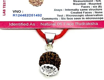 Embrace Harmony & Overcoming Challenges: Handmade Certified 6 Mukhi Rudraksha - Image 1 of 4