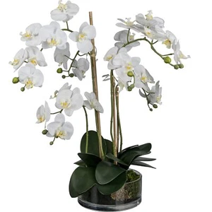 Phalaenopsis im Glas, 50 cm, weiß Kunstpflanze - Bild 1 von 3