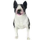  Simulation Bull Terrier Plastic Child Toy Dog Accessories Figurines for Kids