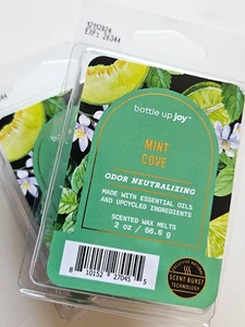 Bottle Up Joy Scented Wax Melts - Pack of 2 / Mint Cove - 2oz - Picture 1 of 3