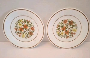 Vintage Corelle Indian Summer Set of 2 Lunch Salad Plates 6 3/4" - Picture 1 of 6