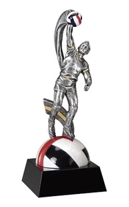 8" Volleyball männliche Trophäe personalisiert kostenlos - Bild 1 von 2