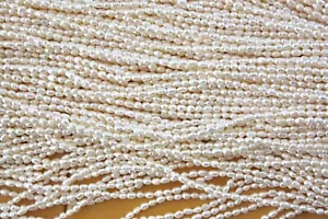 2-3 mm Oval echt Zuchtperlen Strang Süßwasser Perlen Schmuck Kette Halskette - Bild 1 von 1
