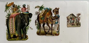 CHROMOS GAUFFRES XIX éme SIECLES 5 CHAMEAUX ET LEPHANTS 8 CM - Photo 1/2