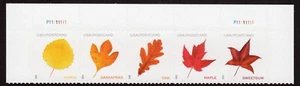 Scott #5970a (5966-70) Vibrant Leaves Postcard Plate # Strip of 5 Stamps - MNH - Picture 1 of 1