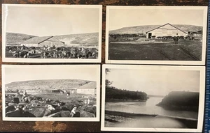 4 Vintage Schnappschuss Fotos - 3 Velox von Männern Cowboys hüten Rinder Kühe Pferde - Bild 1 von 21