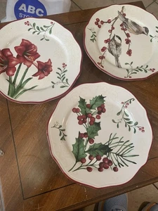 Plato de ensalada 3 Better Homes & Gardens WINTER FOREST 8,75" Heritage 2011 aves - Imagen 1 de 19