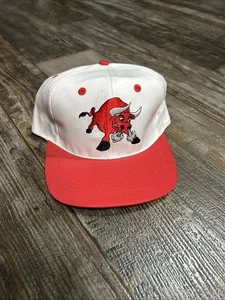 RARE Vintage Tuscon Toros Minor League Baseball Snapback Hat Made in USA MINT - Picture 1 of 4