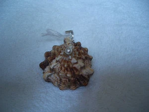 sterling silver pendant with shell - Bild 1 von 1