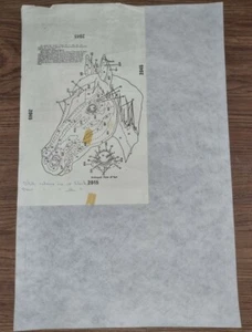 'Horse Head' #2045 Vintage Hobbytex Pre-Shaded Picture - 36cm x 50cm - Picture 1 of 1