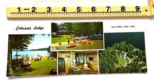 Cahassat Lodge Old Forge New York Extra Long Postcard Swimming Boat RoomView - Picture 1 of 2