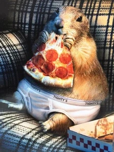"Livin' the Dream! Happy Birthday" AVANTI CARD Prairie Dog Eating Pizza on Sofa - Picture 1 of 2