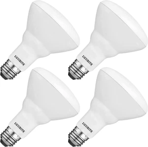 4-Pack BR30 LED Bulb, 65W Equivalent, 5000K Bright White, Dimmable, 650 Lumens, - Picture 1 of 6