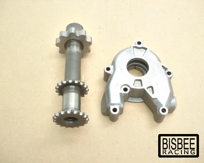 BOMBA DE ACEITE DE MOTOR BMW R1100R EJE AUXILIAR ENGRASADOR CONJUNTO COMPLETO R1100GS R1100 Foto 1 de 4