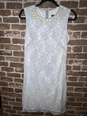 NUEVO CON ETIQUETAS VESTIDO DE CÓCTEL ADRIANNA PAPELL GRIS PLATA ENCAJE MUJER TALLA 8 CUELLO CON CUENTAS Foto 1 de 4