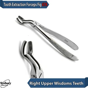 Dental Extracting Forceps Upper Lower Molar Tooth Loosen Surgical Instruments - Bild 1 von 3