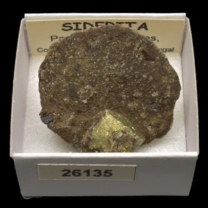 SIDERITA xx (Panasqueira mines, Castelo Branco, Portugal) #26135 / Siderite - Foto 1 di 1