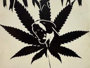1996 HARM’S WAY & THE L.S.G.H. CLAN PASA ME LA MOTA HARDCORE HIP HOP METAL RARE - Picture 1 of 6