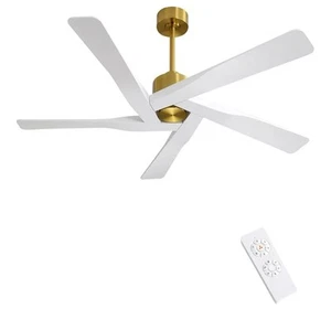 WINGBO 64" ABS DC Ceiling Fan No Light, 5 Blade ABS Plastic Ceiling Fan with... - Picture 1 of 10
