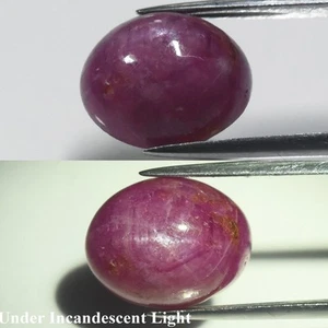 💎 6.13ct Oval Purplish Red 6 Ray Star Ruby - Heated Glass Filling Africa Gem - Picture 1 of 6