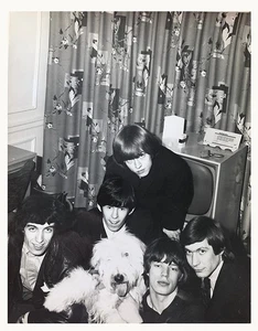 Rolling Stones Gruppe 1965 Original Foto - Bild 1 von 2