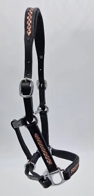 Lederhalfter Minishetty  - Bild 1 von 4