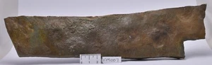 FÓSIL BELTANELLIFORMIS BRONZAE, MEDUSOIDES, EDIACÁRAN 635 myo FM007 - Imagen 1 de 4