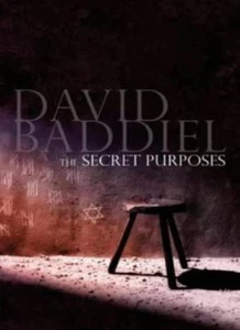 The Secret Purposes By David Baddiel. 9780316859318 - Picture 1 of 1