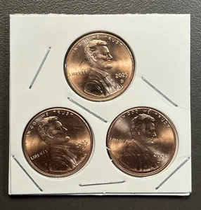 2025 D Lincoln Pennies (3) Total / Last Year Of Issue / Shield / From Bank Roll - Bild 1 von 2