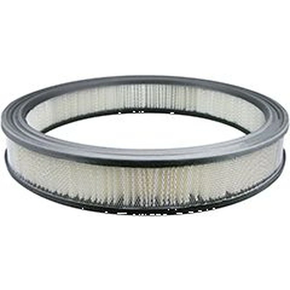 Elemento de aire Baldwin PA1828 para modelos seleccionados de Ford Jaguar Mercury 56-71 Foto 1 de 4