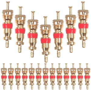 100 Pezzi Valvola Pneumatici Stelo Nucleo Semi Camion Auto Moto Ricambio Pneumatico Nuovo - Foto 1 di 9