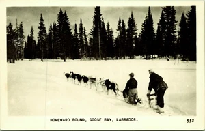 RPPC Trineo Perro Equipo Homeward Bound Goose Bay Labrador Canadá Foto Real Postal - Imagen 1 de 3