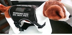 AUROTH Pets Tactical Harness Better No Pull Dog Harness Polyester Medium - Picture 1 of 5
