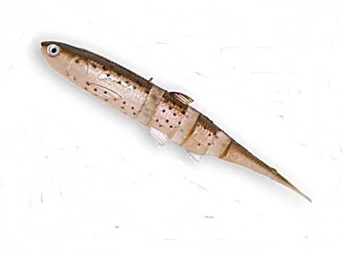 Castaic Super Jerky 5,25 Rainbow Trout - Bild 1 von 1