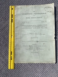 A Seed-Bearing Irish Pteridosperm, Crossotheca Honinghausi, Kidston - Picture 1 of 1