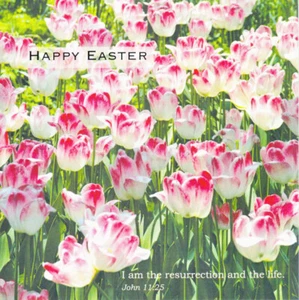 Tarjeta de Pascua de tulipanes en campo con texto bíblico - Juan 11:25 - EB8748ee - Imagen 1 de 2