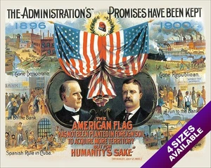 US PRESIDENT MCKINLEY & ROOSEVELT PROPAGANDA POSTER REAL CANVAS ART PRINT - Picture 1 of 47