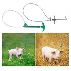 Pole Steel Wire Rod Type Holder Farm Animal Snare Catching Tool