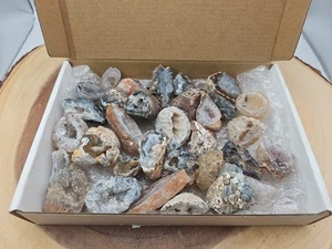 Oco Geode 1 Lb Lot Natural Polished Agate Crystals Druzy Geode Halves - Picture 1 of 11