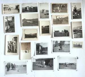 Lote de 20 fotos antiguas y de colección de animales de granja niños sosteniendo pollos caballos - Imagen 1 de 8