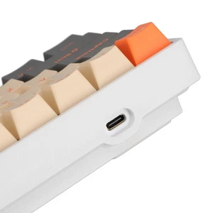 60 Percent Mechanical Keyboard 68 Keys RGB Backlit Ergonomic Type C Wired CEL - Picture 1 of 12