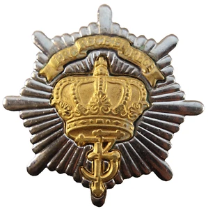 Denmark Military Royal Danish Life Guards Bi-Metal Cap Badge - Picture 1 of 3