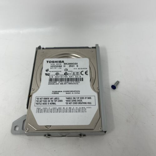 250GB Hard Drive HDD With Caddy, Screw For PlayStation 3 PS3 Slim OEM Tested