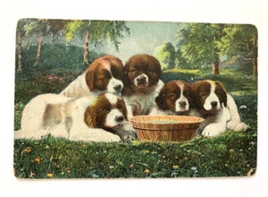 Postal vintage cachorros de San Bernardo con cuenco de agua, serie E.L. 977, estampada - Imagen 1 de 3