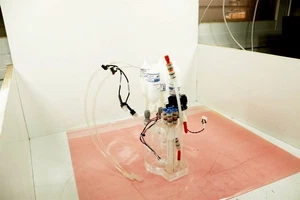 Cartucho de tinta digital Kornit con 4 filtros PHPW-INKPP-1000NC - Imagen 1 de 8