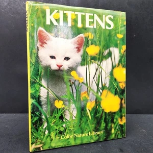 Kittens by David Gibbon - Bild 1 von 13