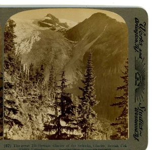 Illicillewaet Gletscher des Selkirks Gletschers BC Kanada Underwood Stereoansicht  - Bild 1 von 3